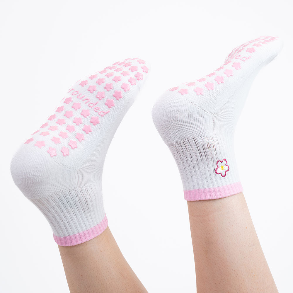 The Frangipani Bloom